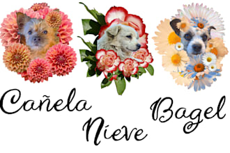 create a custom flower collage of your pet for pfps
