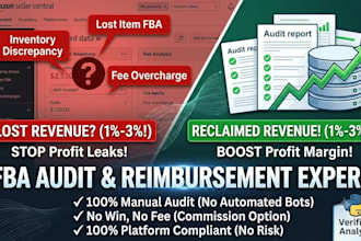 perform professional amazon fba inventory and reimbursement audit