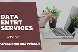 do data entry and data typing work for you
