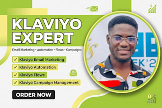 setup advanced klaviyo flows and fix shopify data integration issues