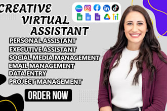 your ig fb mass linkedin ghl data excutive personal visual assitant social  mang