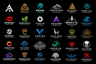 make you a custom high quality logo