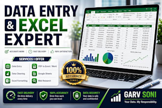 provide professional data entry and excel services
