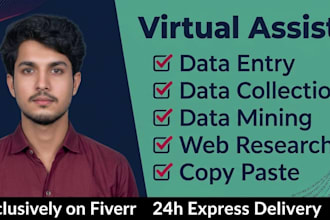 be your expert virtual assistant for data entry and web research