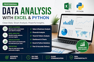 be your data analyst for excel and python