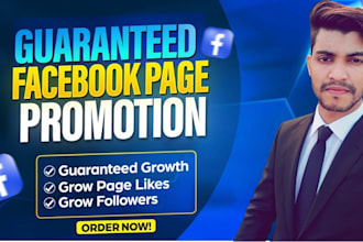 do facebook promotion, fb marketing, page promotion, and grow followers