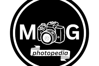 make your professional logo at lowest price like you want