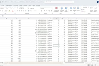 do data entry, data cleaning, copy paste, typing, pdf to excel, formatting