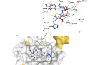 do bioinformatic analysis and molecular docking