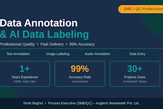 do professional data annotation, data entry, and ai training data labeling
