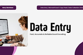 do fast and accurate data entry and excel encoding