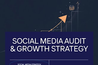 audit your instagram, tiktok and give you a growth strategy