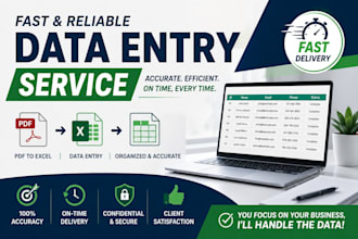 profesionally handle your data entry jobs