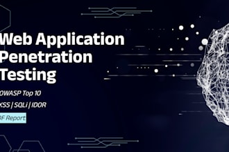 manual web application penetration testing
