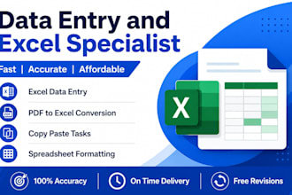 do fast and accurate data entry in excel and word