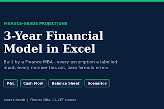 build a 3 year startup financial model and projections in excel