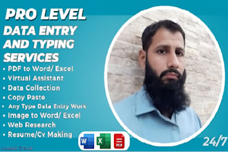 fast and accurate data entry, typing, copy paste, and excel work