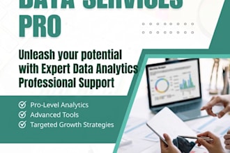 do expert data entry microsoft excel web research