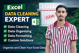 clean, format, merge, split and organize excel data