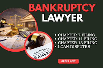 prepare bankruptcy court documents for chapter 7, 13 or 11, lawsuits, petitions