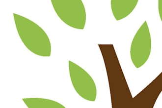 high quality tree logo design in 24 hrs guaranteed