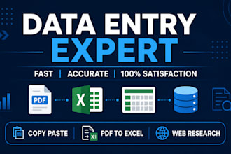 do fast and accurate data entry and spreadsheet work
