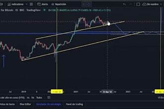 develop a professional mt4 and mt5 trading bot expert advisor