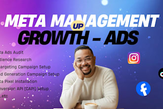 your facebook and instagram ads manager pro