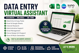 do accurate data entry, copy paste, excel, admin tasks