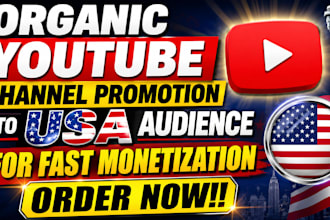 do organic USA youtube video promotion to USA audience channel to get monetize