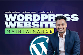 fix wordpress bugs, optimize speed, handle monthly site maintenance