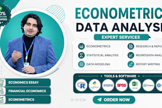 econometrics analysis, economics writing, data analysis in stata, spss, r, eview