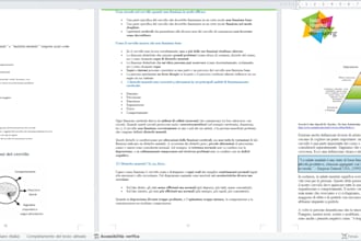 ricostruzione professionale di PDF complessi in word e traduzione multilingua