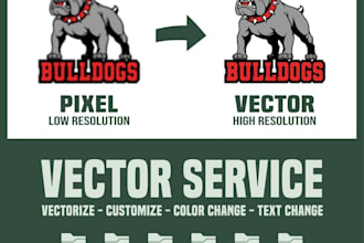 do vector tracing or convert to vector quickly