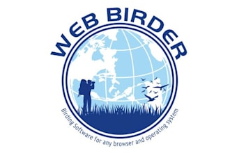 design greatest website logo for web birder