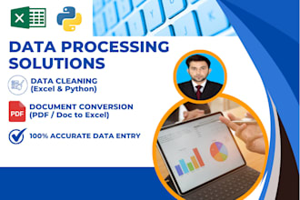 do efficient data entry, PDF to excel conversion and data cleaning