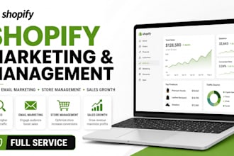 fully manage your shopify store marketing SEO and growth