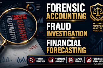 perform forensic accounting fraud investigation