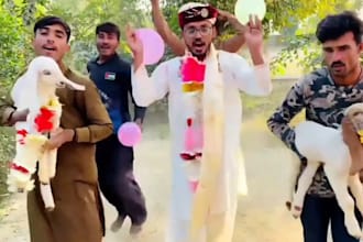 african happy birthday video african happy birthday video