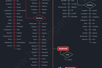 professional web development and custom programming codes