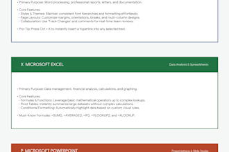 create professional ms word, excel and powerpoint documents