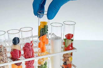 develop food formulation, recipe development and product rd