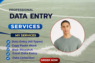 do accurate data entry, collection, web scraping, data clean