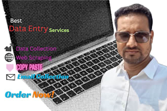 do accurate data entry, data collection, web scraping and excel data clean