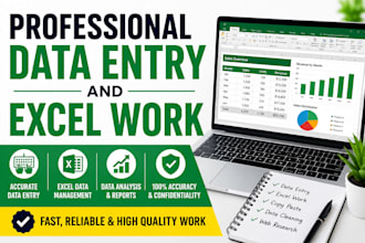 do professional data entry, web search, excel