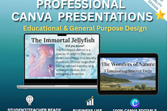 design professional canva presentation and educational slides