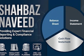 deliver professional financial reporting and compliance support