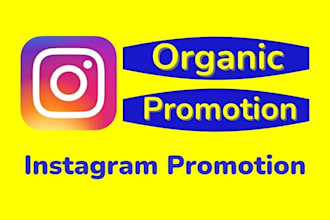 do instagram promotion for organic growth