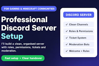 set up a professional discord server
