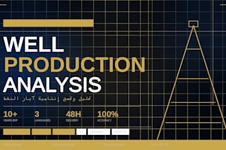 provide expert petroleum engineering production optimiz